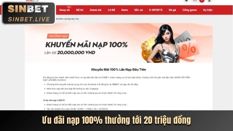 Minh họa các loại cookie khác nhau được sử dụng trên một trang web